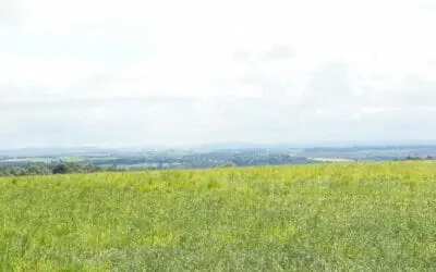 Current project – Land Re-designated from Green Belt – some realistic Planning Gain